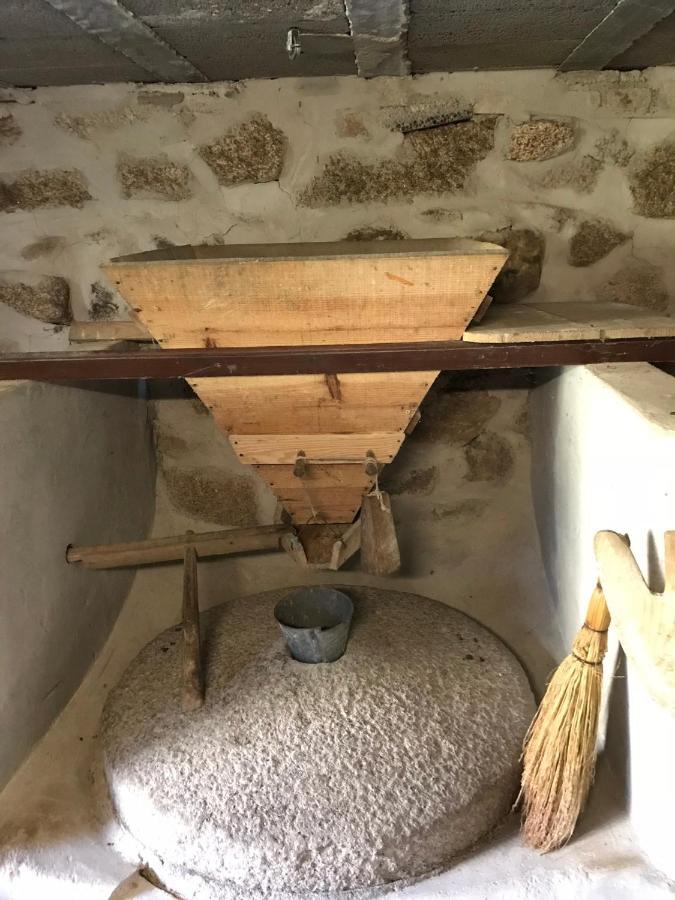 Casa Da Ponte Velha Lejlighed Termas de São Pedro do Sul Eksteriør billede